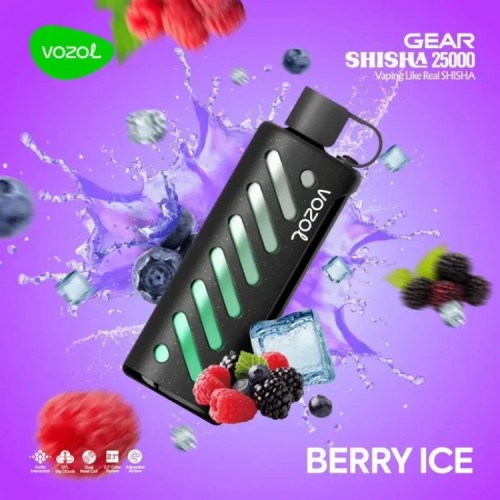 VOZOL GEAR 25000 Berry Ice VOZOL GEAR 25000 Berry Ice